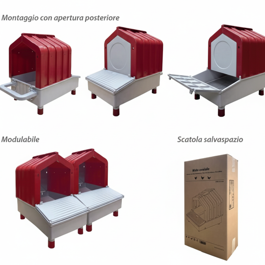 Nido galline - immagine 6