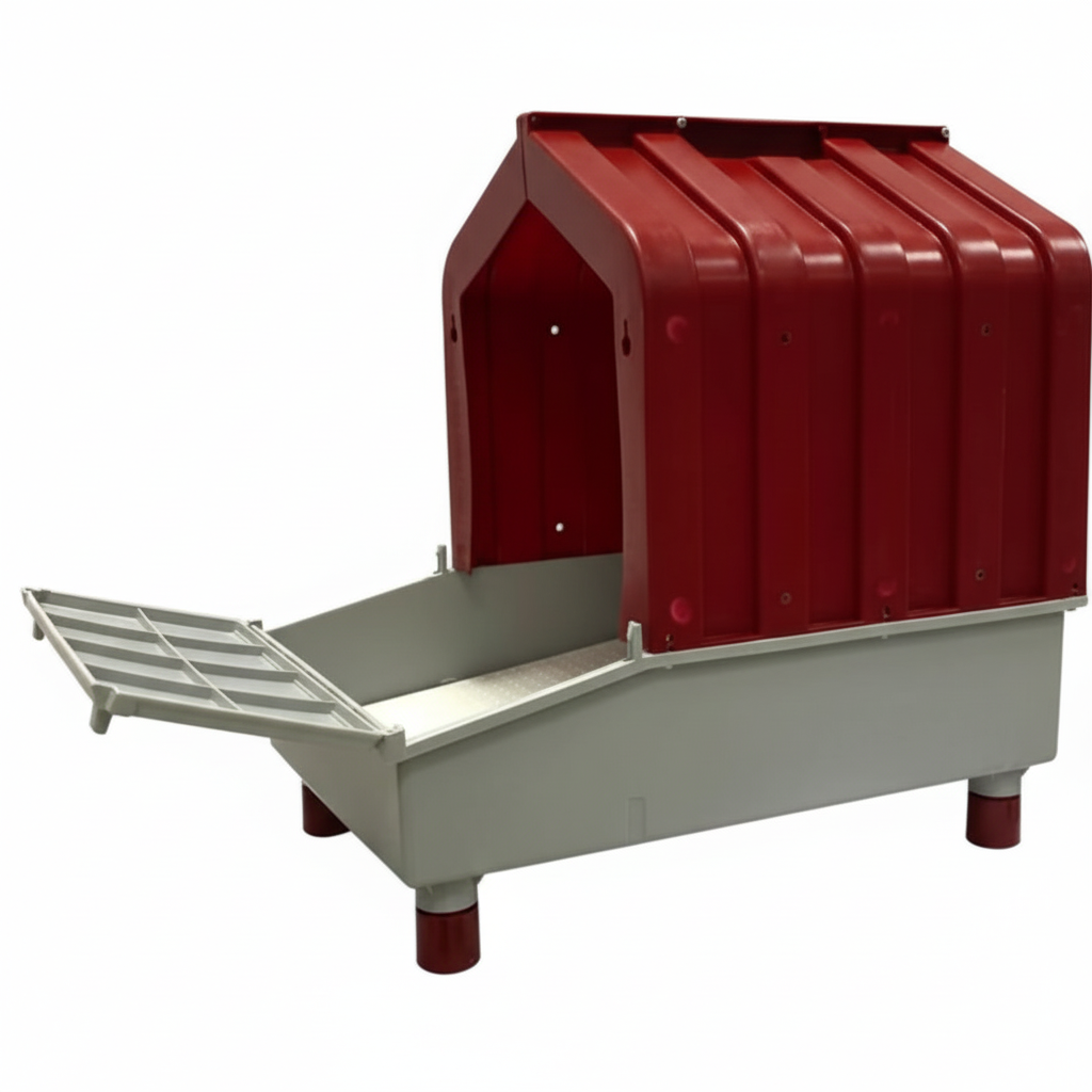 Nido galline ovaiole - immagine 3