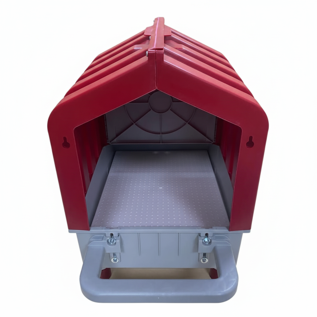 Nido galline ovaiole - immagine 5