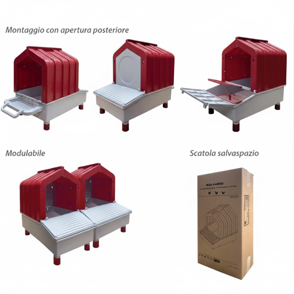 Nido galline ovaiole - immagine 7