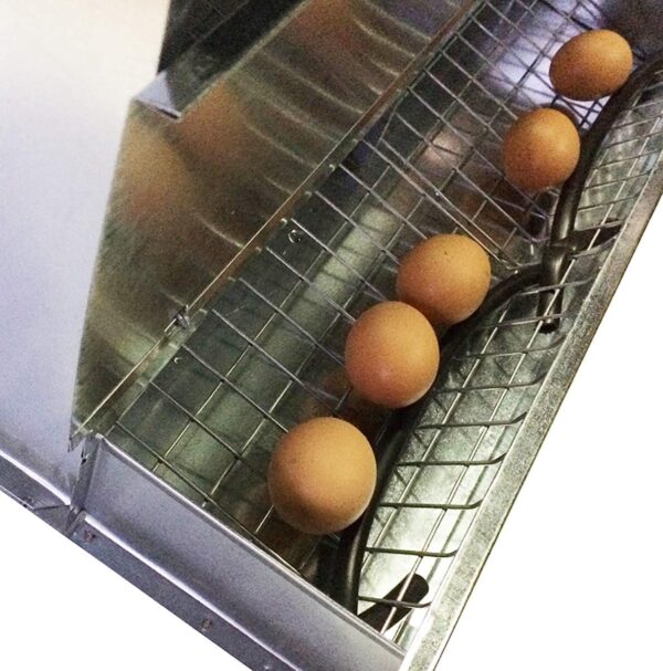 Nido 2 Posti per Galline Ovaiole con Gambe