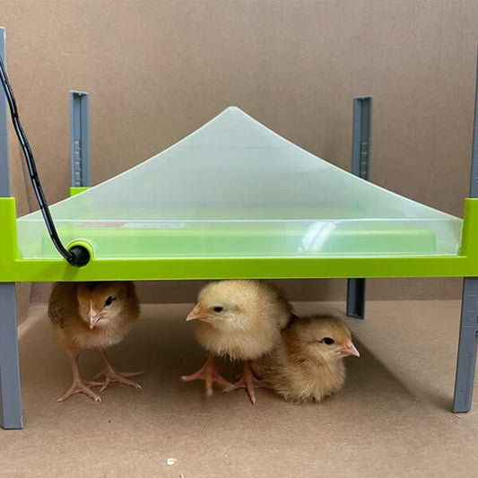 Piastra Riscaldante Caleo 700