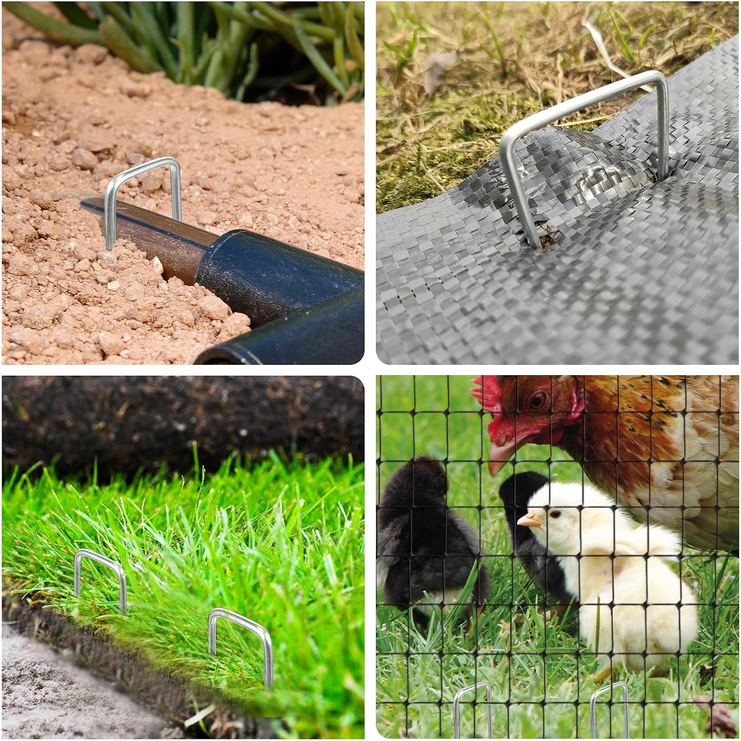 Picchetto U Maxi 40x180 Arrigoni (Pz 250)