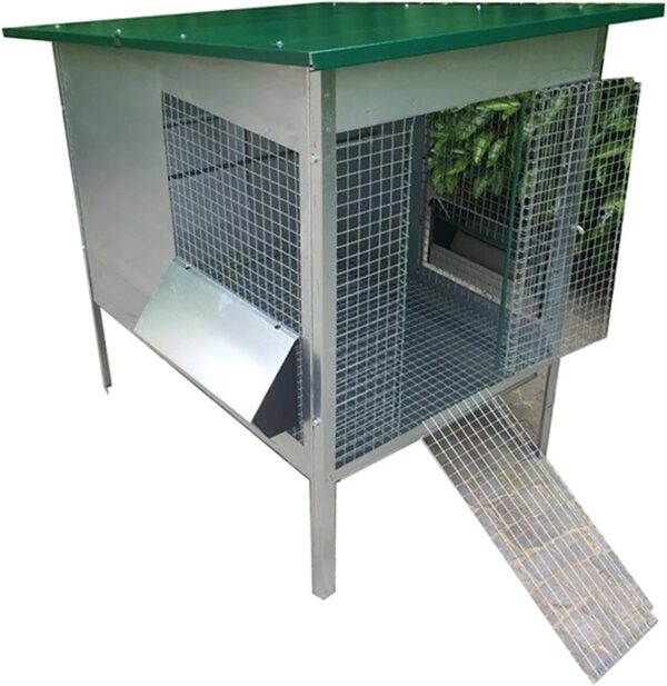 Pollaio Amalfi Anti Predatore