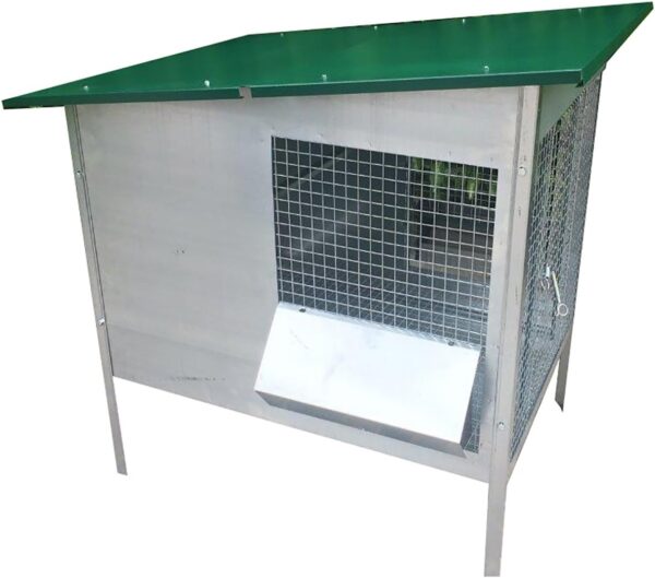 Pollaio Amalfi Anti Predatore