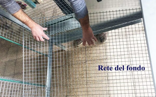 Pollaio Amalfi Anti Predatore