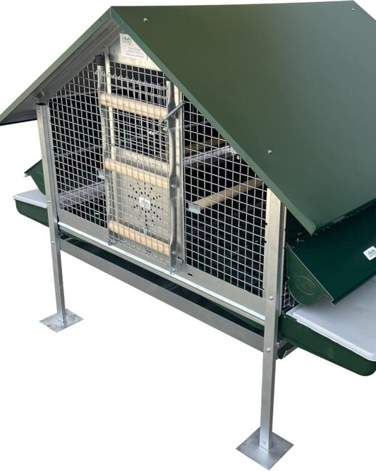 Pollaio Anti-predatori Arca Plus Nuovo