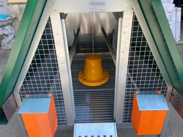 Pollaio Anti Predatori Canada per Galline Ovaiole