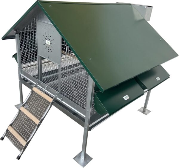 Pollaio Capri Anti Predatore