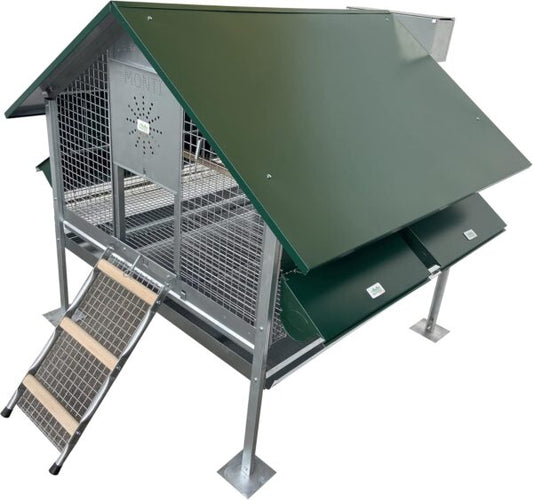 Pollaio Capri Anti Predatore