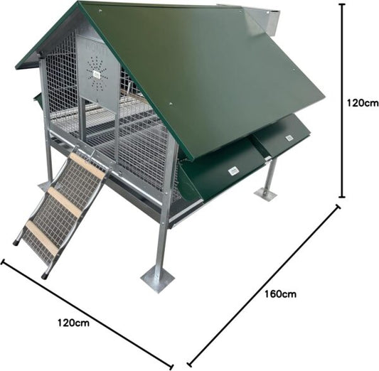 Pollaio Capri Anti Predatore