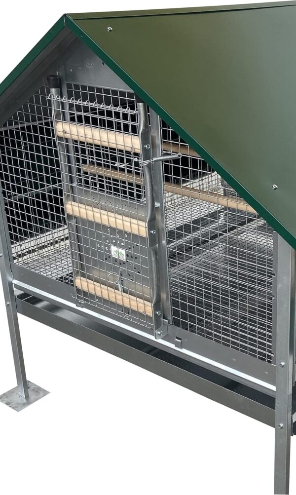 Pollaio Capri Anti Predatore