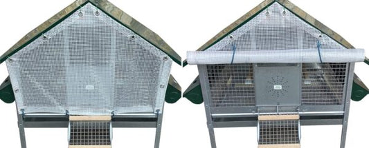 Pollaio Capri Anti Predatore