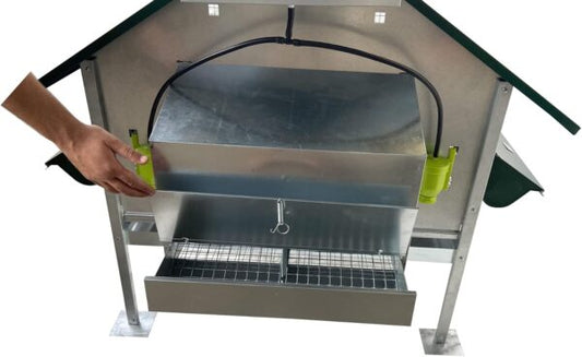 Pollaio Capri Anti Predatore