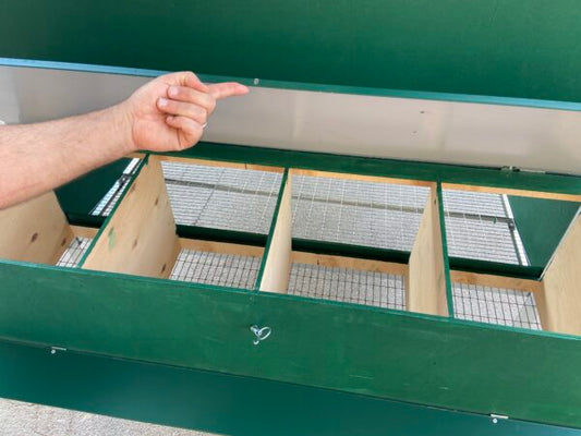 Pollaio Coibentato Maxi