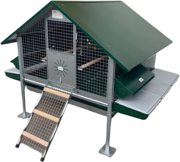 Pollaio Ischia Anti Predatore