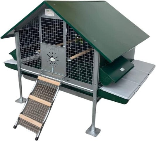 Pollaio Ischia Anti Predatore