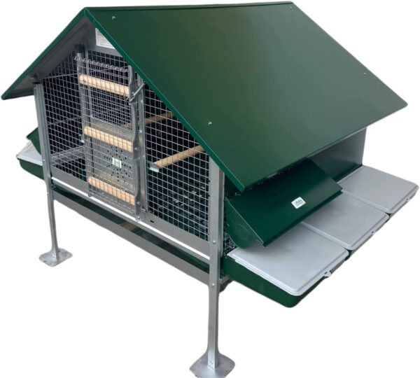 Pollaio Ischia Anti Predatore