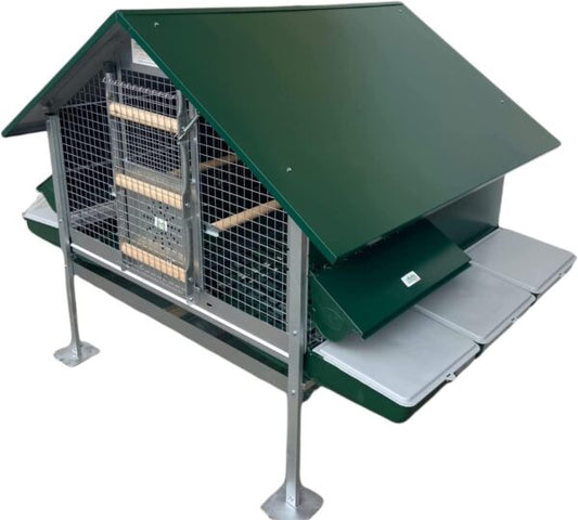 Pollaio Ischia Anti Predatore