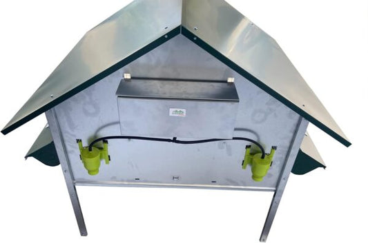 Pollaio Ischia Anti Predatore