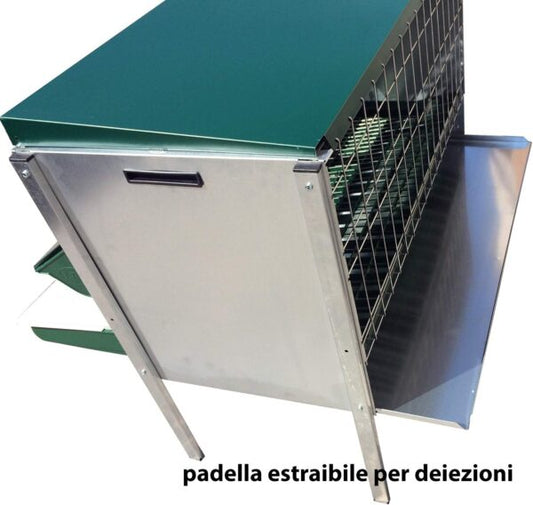 Mini Pollaio da Esterno per Galline Ovaiole