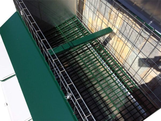 Mini Pollaio da Esterno per Galline Ovaiole