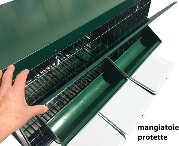 Mini Pollaio da Esterno per Galline Ovaiole