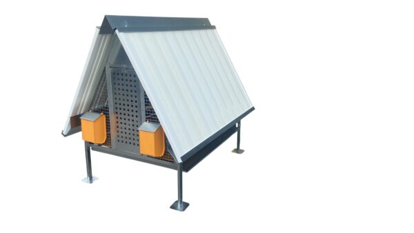 Pollaio Nerano Coibentato Anti Predatori