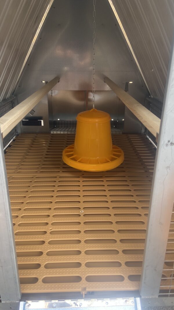 Pollaio Nerano Coibentato Anti Predatori