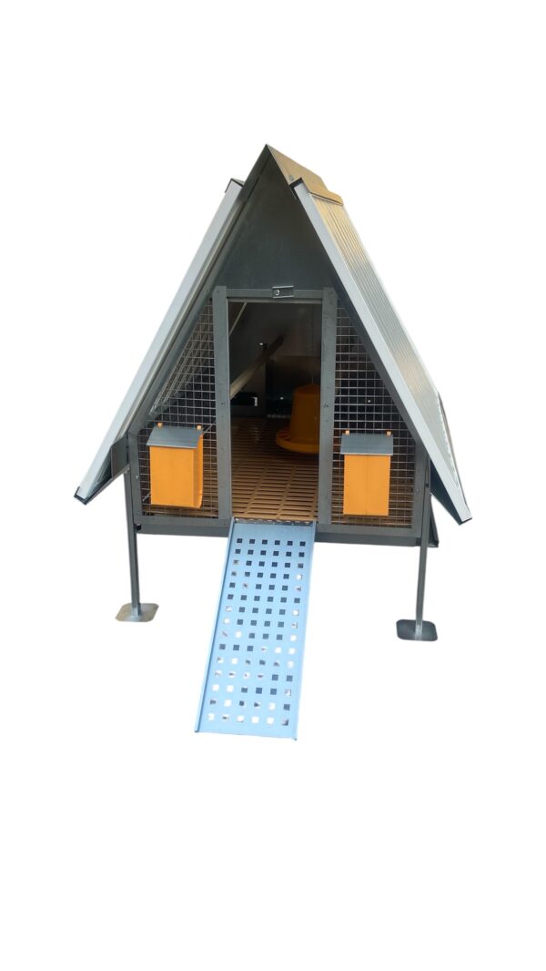 Pollaio Nerano Coibentato Anti Predatori