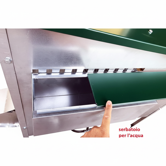 Pollaio Nisida - Immagine 10