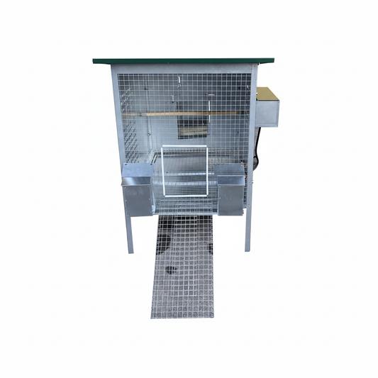 Pollaio Nisida - Immagine 3