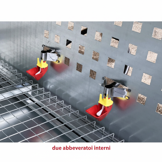 Pollaio Nisida - Immagine 7