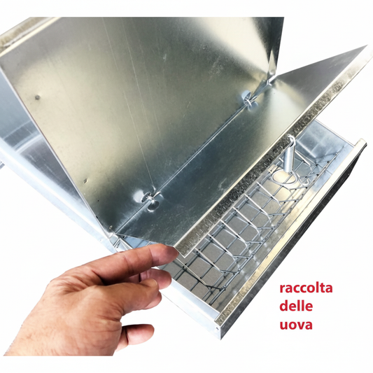 Pollaio Nisida - Immagine 9