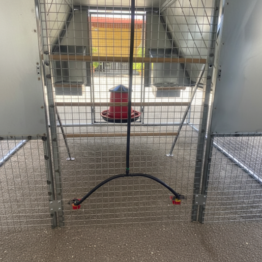 Pollaio Pompei Anti Predatore - Immagine 5