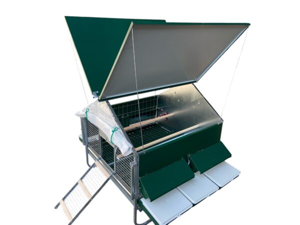 Pollaio Anti-Predatori Positano