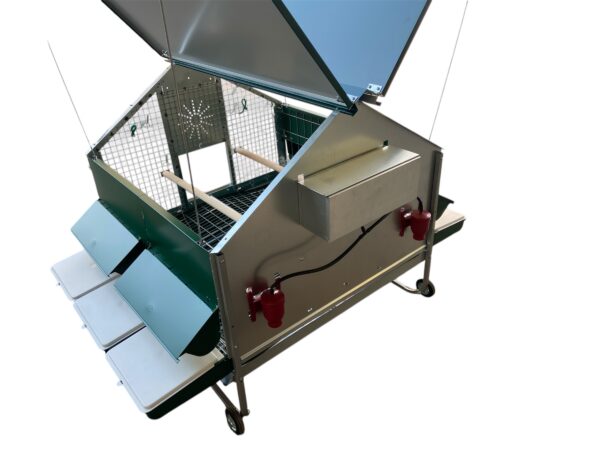 Pollaio Anti-Predatori Positano