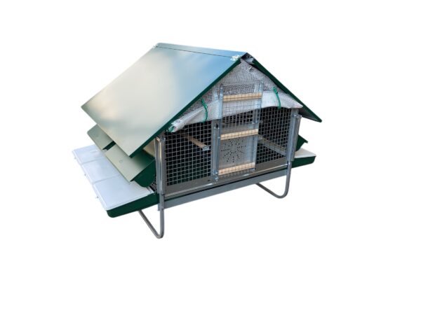 Pollaio Anti-Predatori Positano