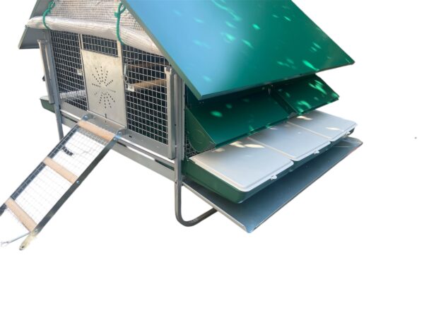 Pollaio Anti-Predatori Positano