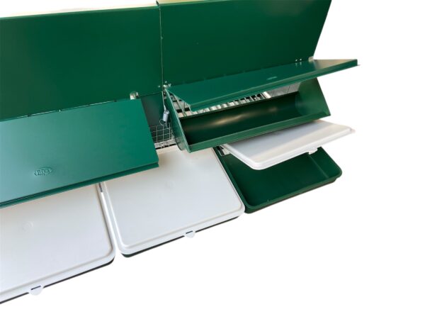 Pollaio Anti-Predatori Positano