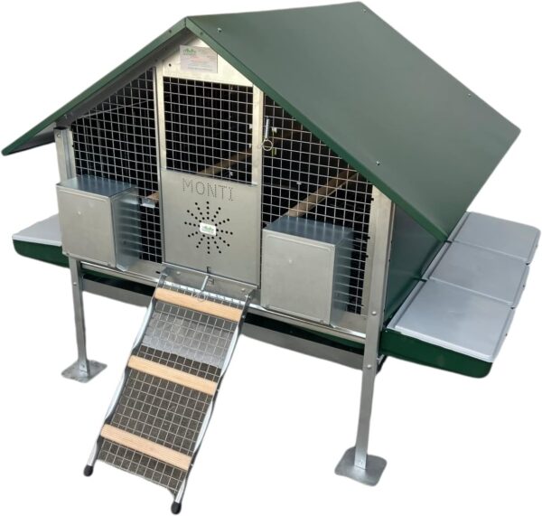 Pollaio Anti-Predatori Procida per Galline Ovaiole