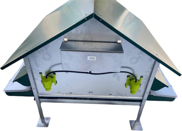 Pollaio Anti-Predatori Procida per Galline Ovaiole