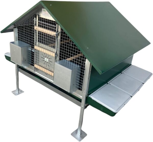 Pollaio Anti-Predatori Procida per Galline Ovaiole