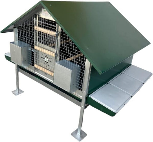 Pollaio Anti-Predatori Procida per Galline Ovaiole