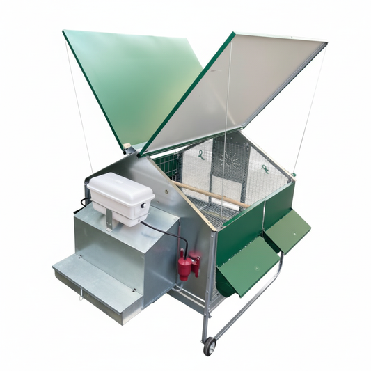 Pollaio Ravello - immagine 6