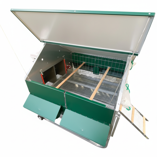 Pollaio Ravello - immagine 7