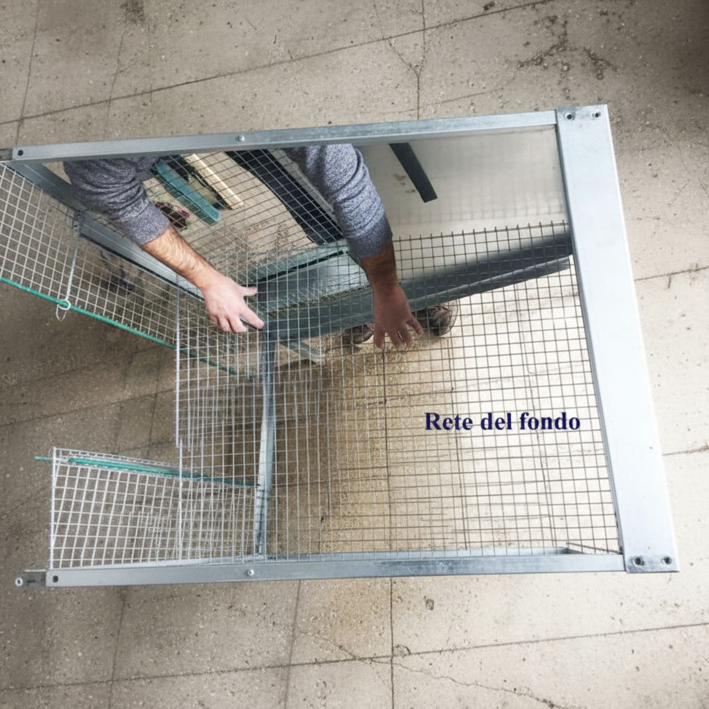 Pollaio Sorrento - Immagine 6