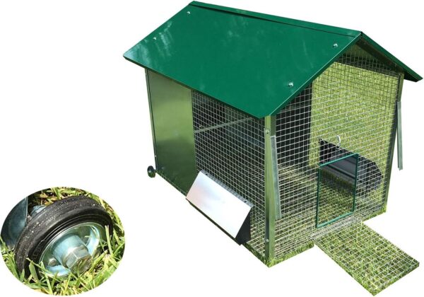 Pollaio Tosa erba per Galline Ovaiole