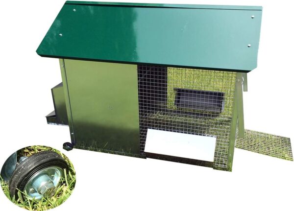 Pollaio Tosa erba per Galline Ovaiole