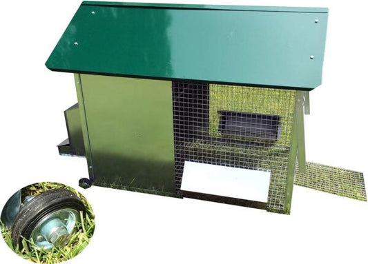 Pollaio Tosa erba per Galline Ovaiole